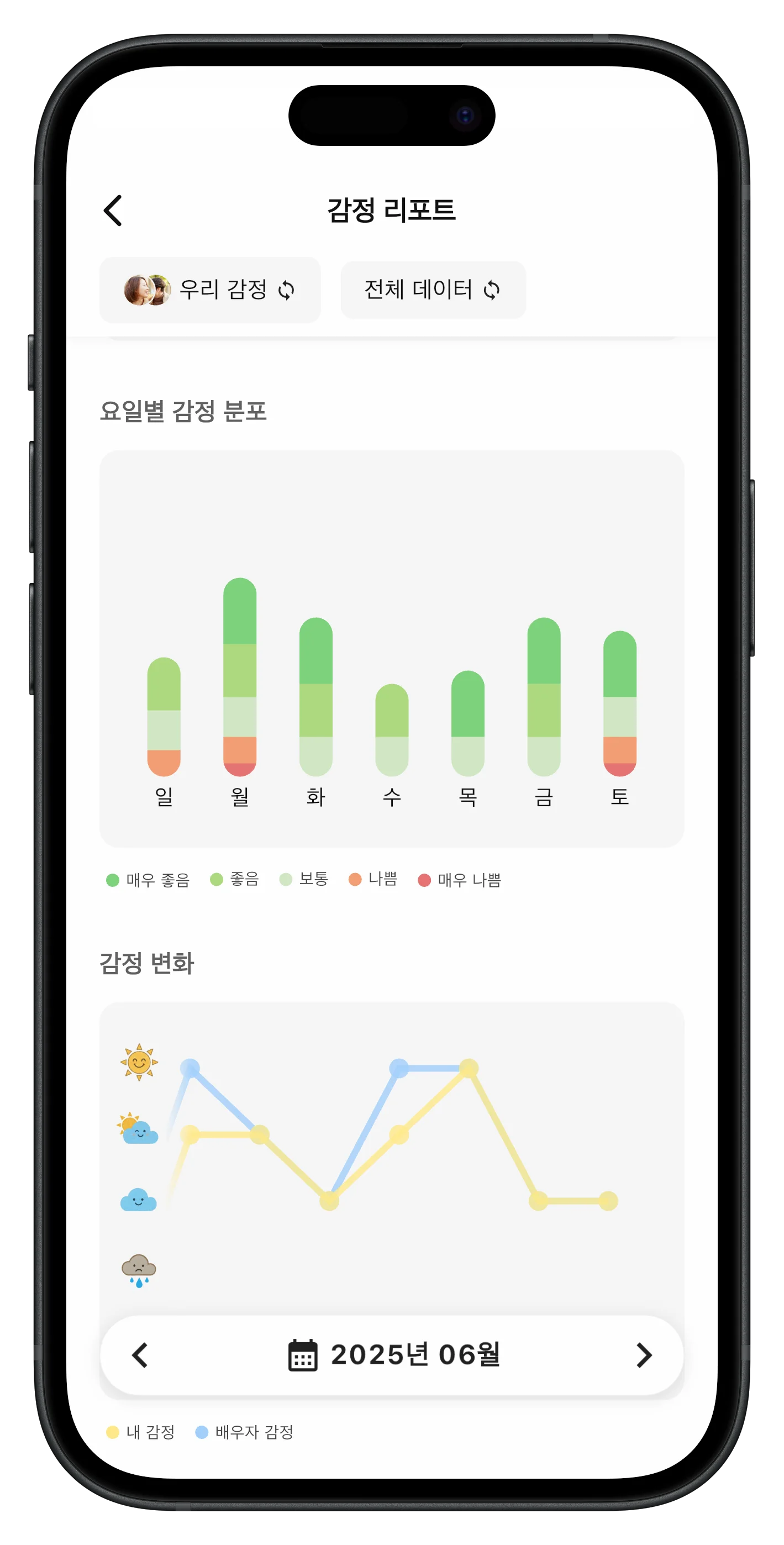 감정 리포트